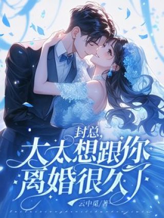 封总，太太想跟你离婚很久了 一口气 看完