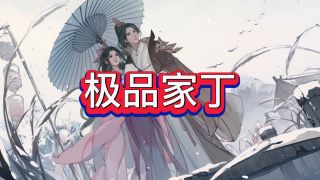 极品家丁