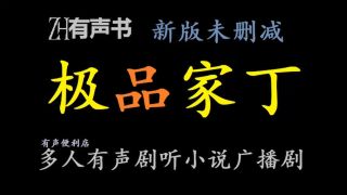 极品家丁