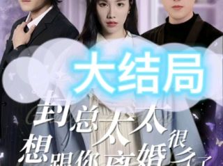 封总,太太想跟你离婚很久了