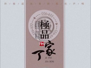 极品家丁