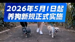 加油新规11月起正式实施