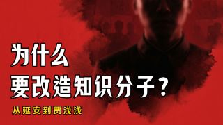 “极少数巨婴碰瓷了大量公共资源”